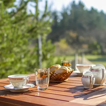Holiday Home Tisa Rudanovac Exterior photo